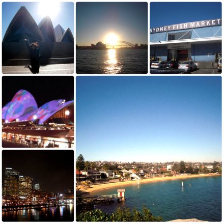 在充滿活力的澳洲工作 working in the vivid Sydney!
